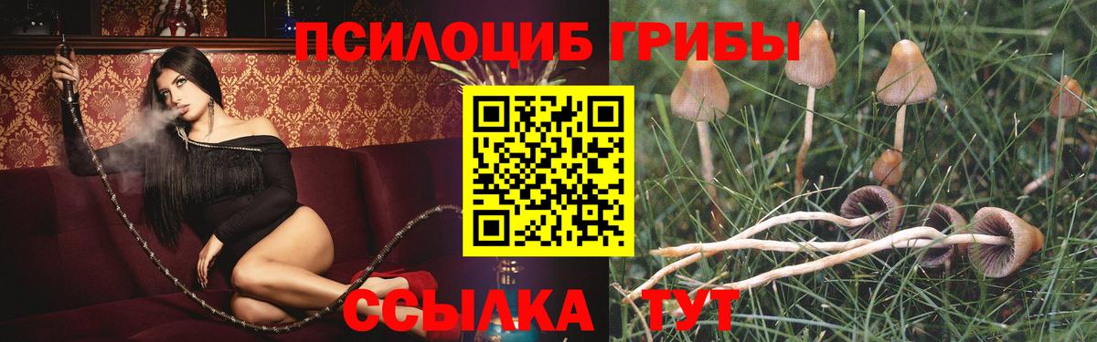 Псилоцибиновые грибы MAGIC MUSHROOMS  Вход с VPN  Острогожск 