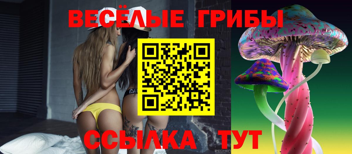Псилоцибиновые грибы ЛСД Острогожск